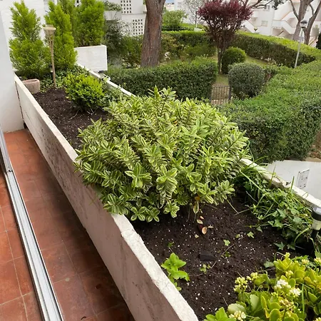 Appartement Politur *