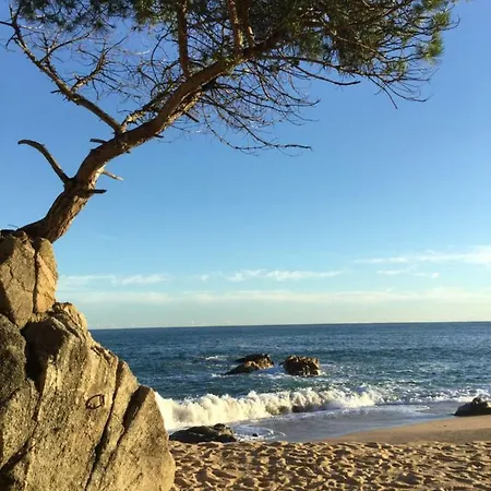 Appartement Politur *