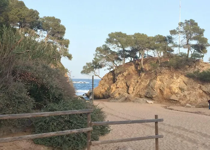 Politur Castell-Platja d’Aro