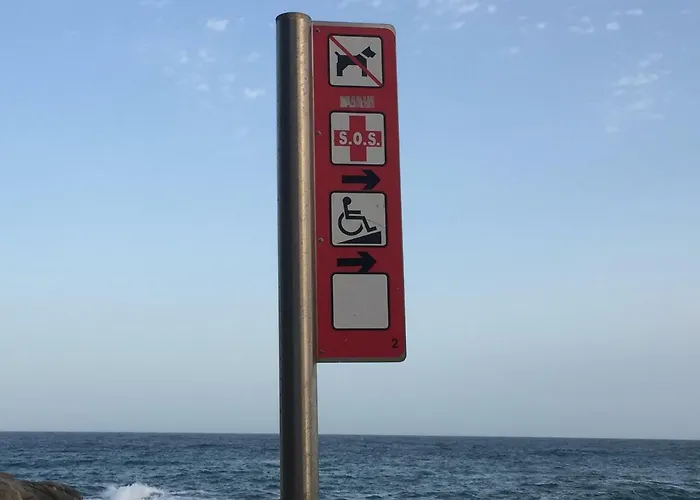 Politur شقة بلاتجا ذارو