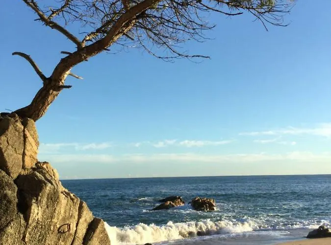 アパート Politur *