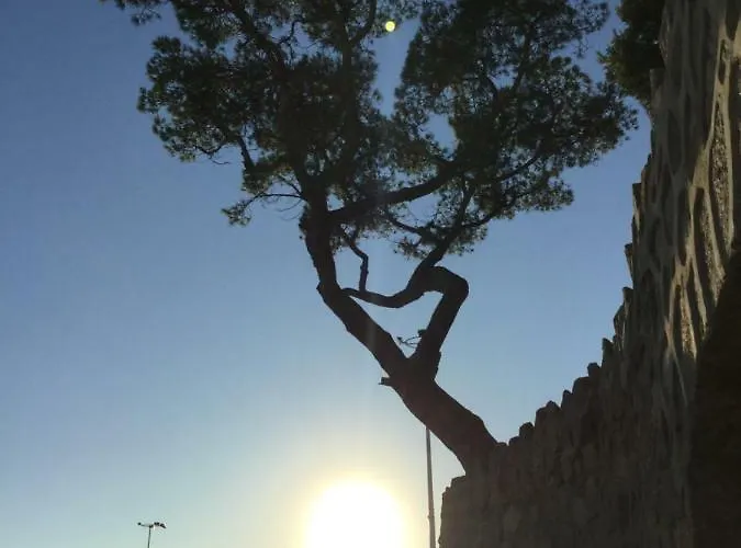 Politur アパート